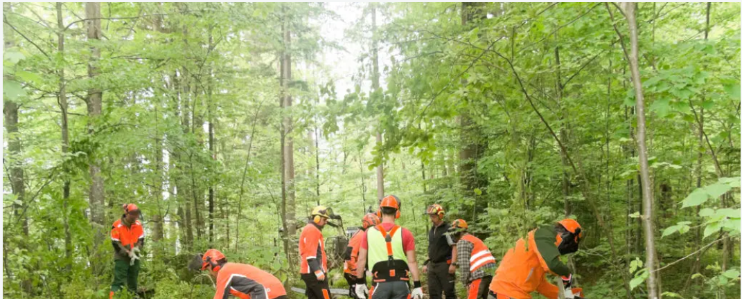 Forestry Training Institute Olmotonyi