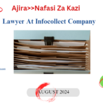 Lawyer At Infocollect Company