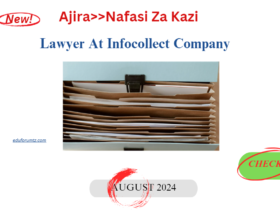 Lawyer At Infocollect Company