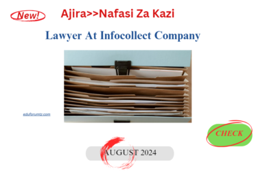 Lawyer At Infocollect Company