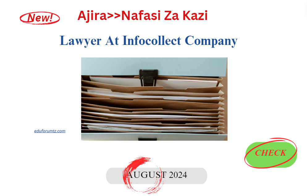 Lawyer At Infocollect Company