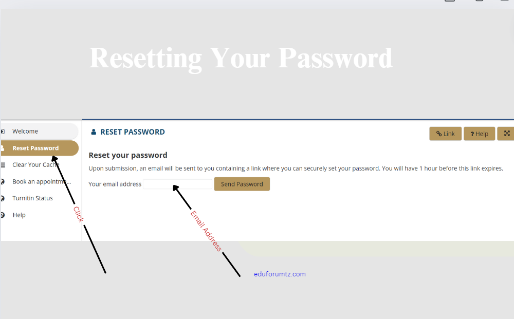 Resetting Your Password