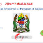 Call for Interview at Parliament of Tanzania