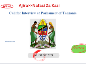 Call for Interview at Parliament of Tanzania