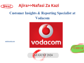 Customer Insights & Reporting Specialist at Vodacom, August 2024