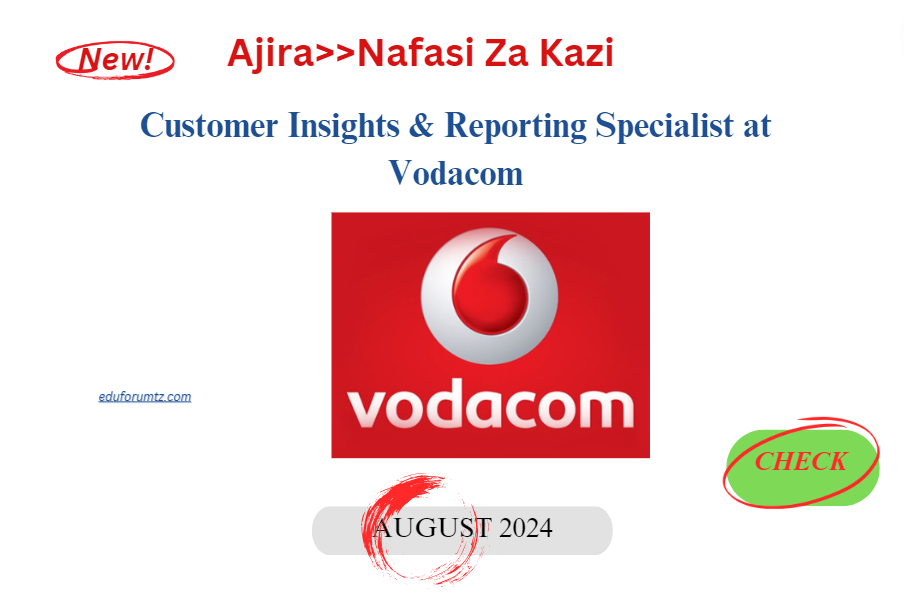 Customer Insights & Reporting Specialist at Vodacom, August 2024