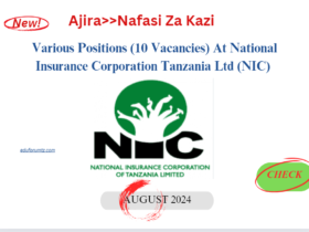 Various Positions (10 Vacancies) At National Insurance Corporation Tanzania Ltd (NIC) 2024