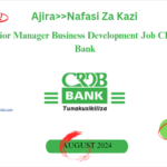 Senior Manager Business Development Job CRDB Bank