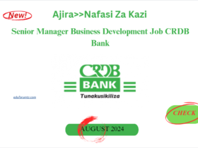 Senior Manager Business Development Job CRDB Bank