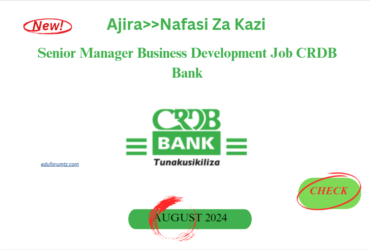 Senior Manager Business Development Job CRDB Bank