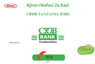 CRDB Tanzania Jobs| Nafasi Mpya za Kazi Crdb Bank