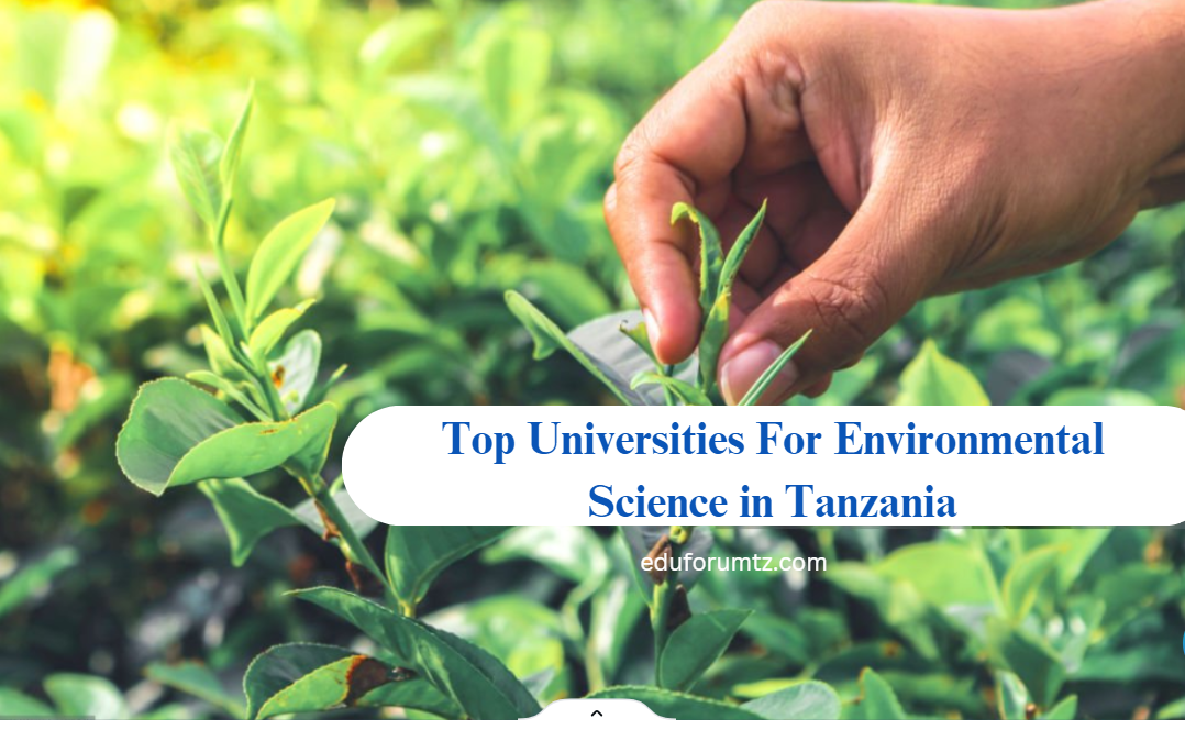 Top Universities For Environmental Science in Tanzania