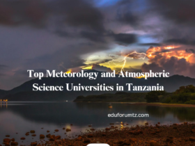 Top Meteorology and Atmospheric Science Universities in Tanzania