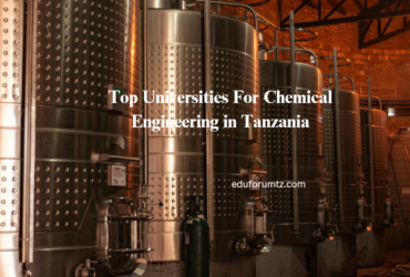 Top Universities For Chemical Engineering in Tanzania