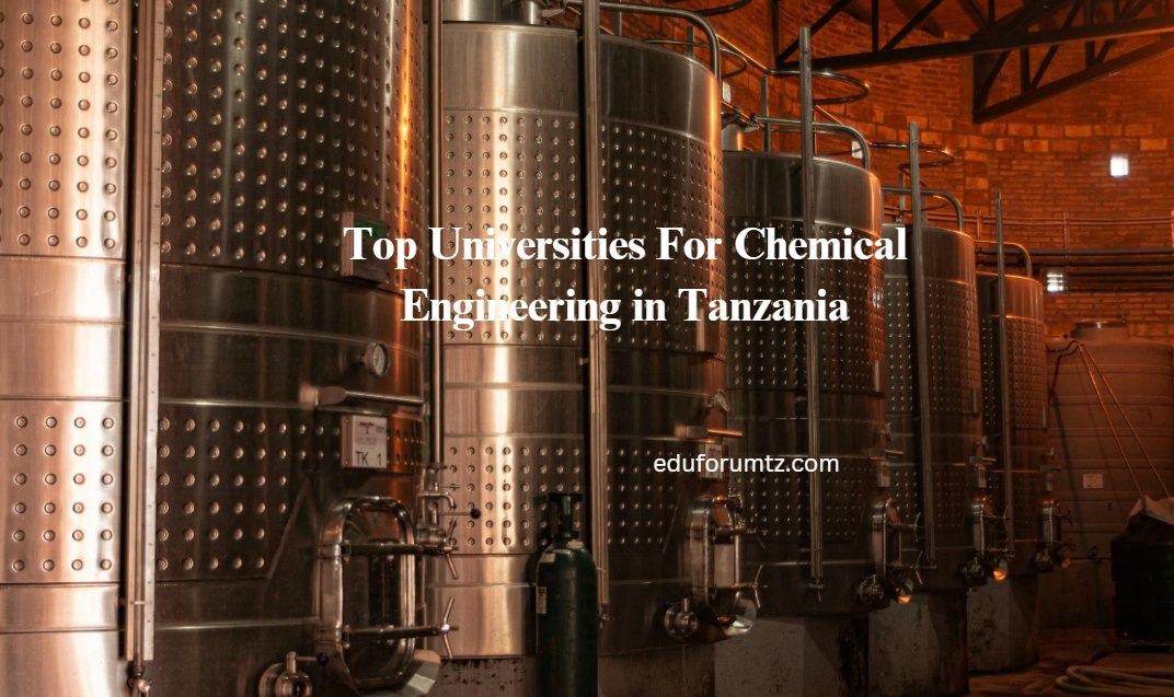 Top Universities For Chemical Engineering in Tanzania