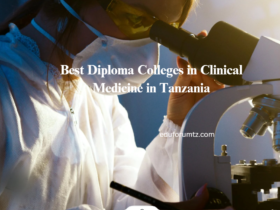 Best Diploma Colleges in Clinical Medicine in Tanzania