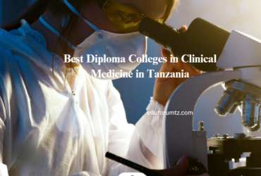 Best Diploma Colleges in Clinical Medicine in Tanzania