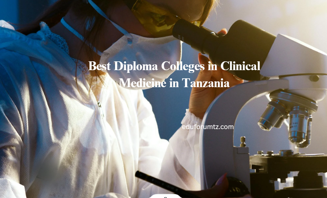 Best Diploma Colleges in Clinical Medicine in Tanzania