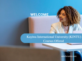 Kayiwa International University (KINTU) Courses Offered