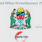 Research Officer II (Architecture) At Makumbusho ya Taifa la Tanzania (NMT)