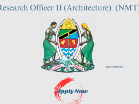 Research Officer II (Architecture) At Makumbusho ya Taifa la Tanzania (NMT)