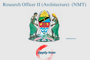 Research Officer II (Architecture) At Makumbusho ya Taifa la Tanzania (NMT)