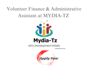 Volunteer Finance & Administrative Assistant at MYDIA-TZ