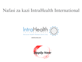 Senior Technical Manager Job at IntraHealth