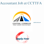 Accountant Job at CCTTFA