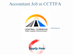 Accountant Job at CCTTFA