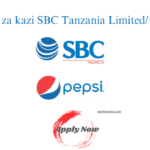 Safety and Risk Control Officer at SBC Tanzania Limited