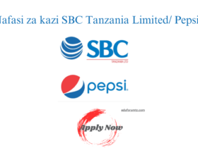 Safety and Risk Control Officer at SBC Tanzania Limited