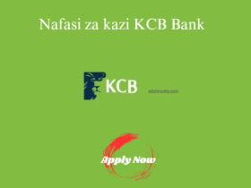 Credit Manager Job at KCB Bank