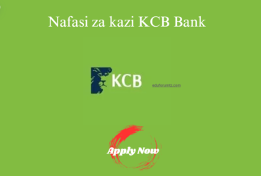 Credit Manager Job at KCB Bank