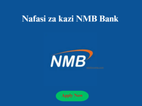 HR Business Partner At NMB Bank