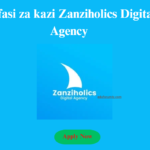 Office Admin & Accountant At Zanziholics Digital Agency