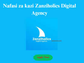 Office Admin & Accountant At Zanziholics Digital Agency