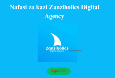 Office Admin & Accountant At Zanziholics Digital Agency