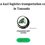 Accountant position at a logistics transportation company in Tanzania