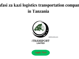 Accountant position at a logistics transportation company in Tanzania