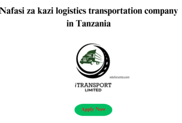 Accountant position at a logistics transportation company in Tanzania