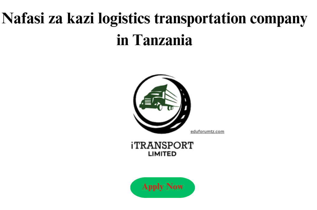 Accountant position at a logistics transportation company in Tanzania