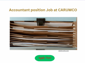 Accountant position Job at CARUMCO