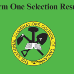 Form One selection