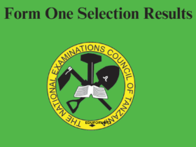 Form One selection