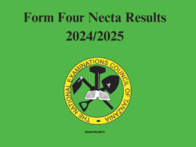 Form Four Necta Results 2024/2025